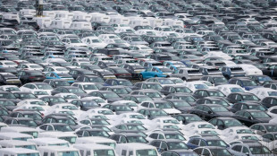 Medizin, Maschinen, Autos: Einzelne Exportbranchen besonders von USA abhängig