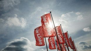 Linke beginnt Bundesparteitag in Chemnitz