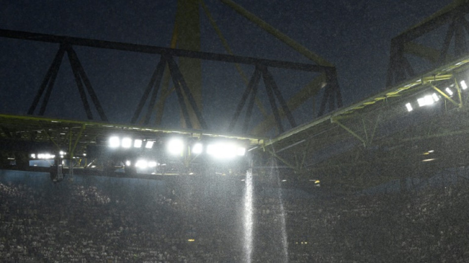 Auf Dortmunder Stadiondach geklettert: Mann soll zw&ouml;lftausend Euro zahlen