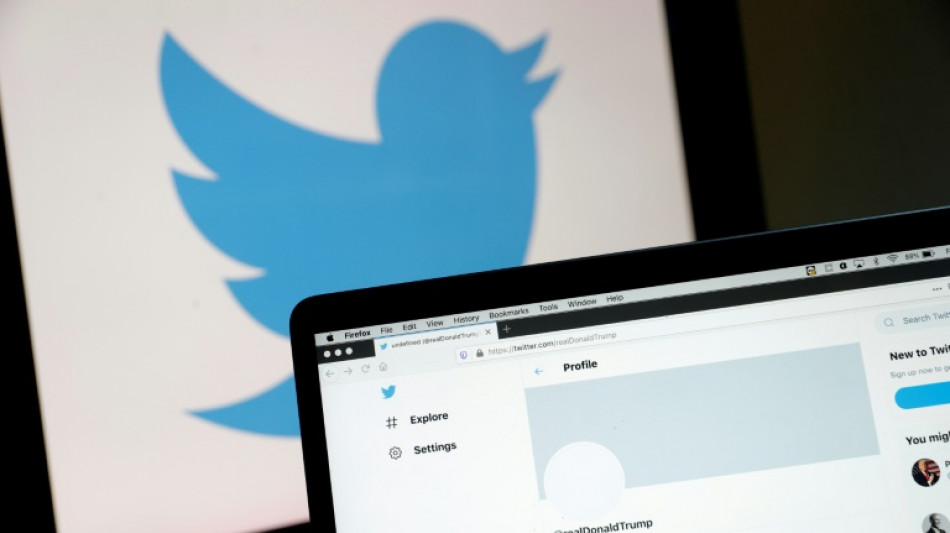 Elon Musk verk&uuml;ndet "Generalamnestie" f&uuml;r gesperrte Konten auf Twitter