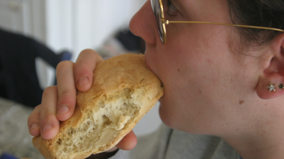  Scoperto un antico circuito cerebrale legato alla saziet&agrave; 