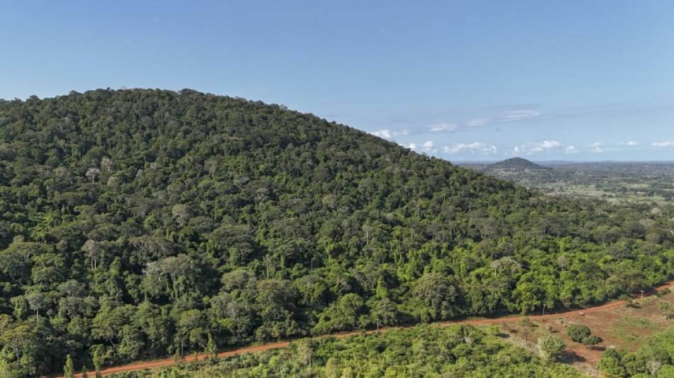  Kenya-US rare earths deal challenged in court over secrecy 