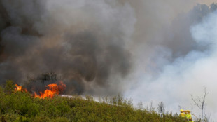 S&aacute;nchez propone un pacto nacional por "emergencia clim&aacute;tica" en plenos incendios en Espa&ntilde;a