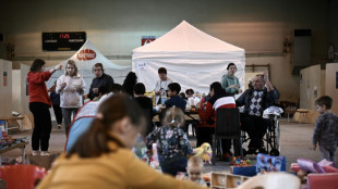 En France, un accueil "in&eacute;dit" &agrave; 500 millions d'euros pour les Ukrainiens