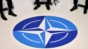 Beginn des viermonatigen Nato-Gro&szlig;man&ouml;vers "Steadyfast Defender"  