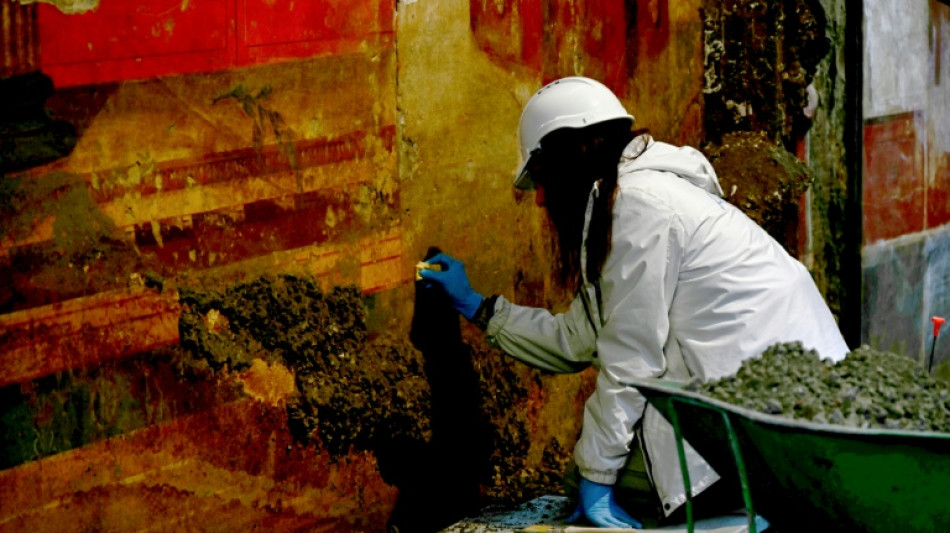  'Virgin' frescoes emerge from Pompeii suburb 