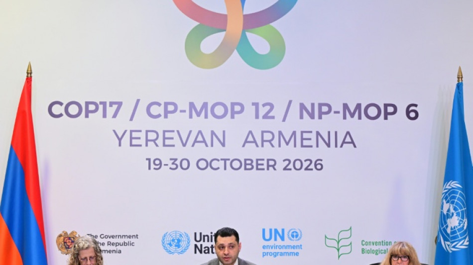  Nations far from a deal as UN nature talks enter final stretch 
