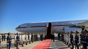 Bundesregierung erh&auml;lt neuen Regierungsflieger mit Sonderausstattung