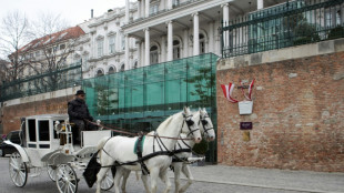 Ir&aacute;n dice que la verificaci&oacute;n es necesaria para un buen acuerdo nuclear