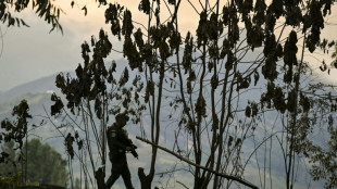 Capturan en Colombia a sospechosos de asesinar a un reputado bi&oacute;logo italiano