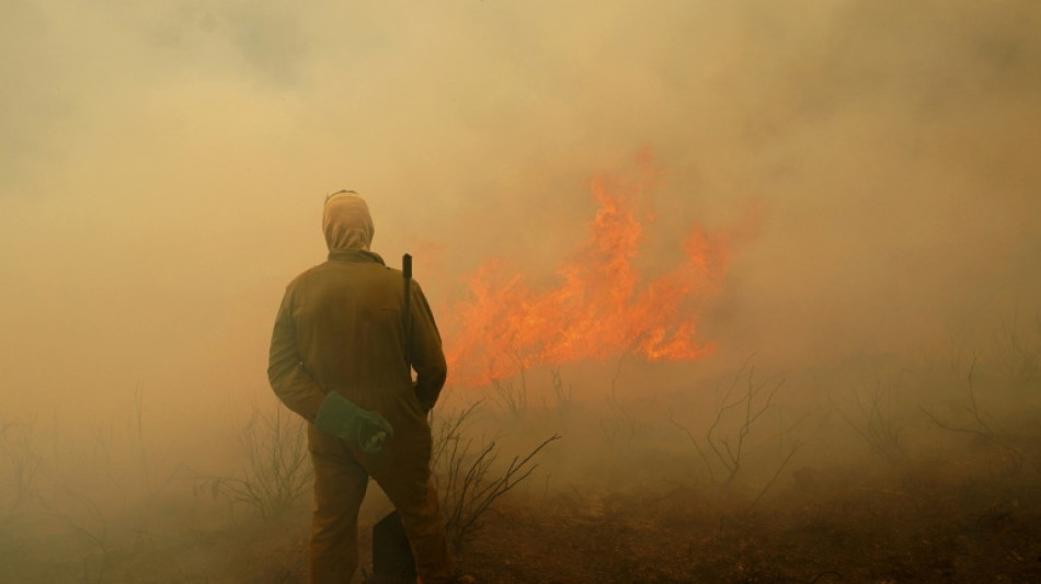 Espa&ntilde;a investiga si hubo falta de planes de prevenci&oacute;n en municipios afectados por los incendios