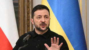 Selenskyj fordert 250 Milliarden Dollar aus eingefrorenem russischen Verm&ouml;gen f&uuml;r Waffen