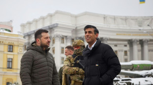 Sunak assure Kiev du soutien britannique "jusqu'&agrave; ce que l'Ukraine gagne"