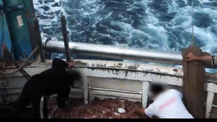 La pesca a strascico riduce la biodiversità del Mediterraneo