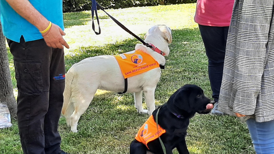 Trovata una mutazione genetica all'origine della cecit&agrave; nei cani