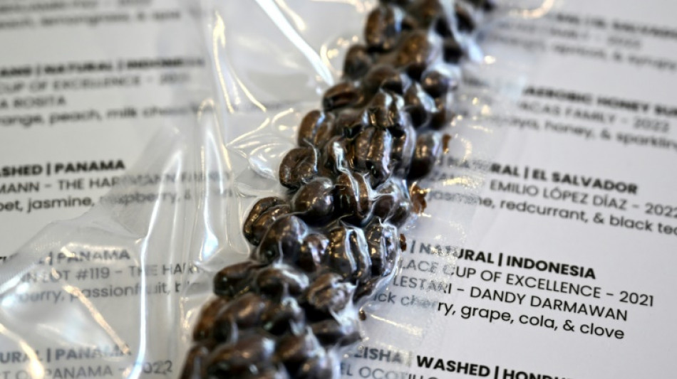 Una cafeter&iacute;a en Australia vende caf&eacute; paname&ntilde;o a 140 d&oacute;lares la taza