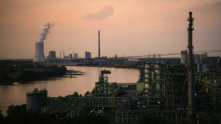 Im Rhein vermisster Neunj&auml;hriger und Vater tot gefunden