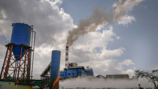 Cuba registra escu&aacute;lida cosecha de az&uacute;car, con s&oacute;lo la mitad de lo previsto