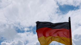 Merz contro bandiera arcobaleno al parlamento, 'non &egrave; il circo'