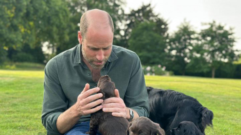 William compie 43 anni, foto sui social con i cuccioli di cocker