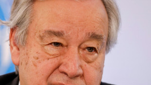 Una treintena de países lanzan una iniciativa en favor de un "océano silencioso"