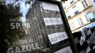 Carburants: la gr&egrave;ve continue &agrave; TotalEnergies, le gouvernement juge "inacceptables" les blocages