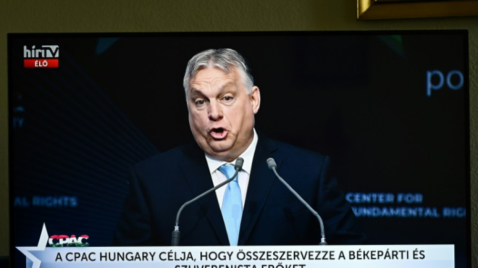 La extrema derecha recurre a la desinformaci&oacute;n en las elecciones europeas