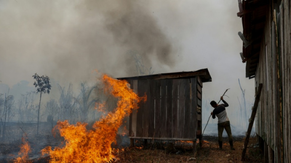  Brazil probing 'criminal' origin of forest fires: minister to AFP 