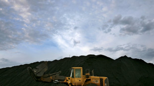 Las ganancias de la minera brasile&ntilde;a Vale caen un 18% en el segundo trimestre