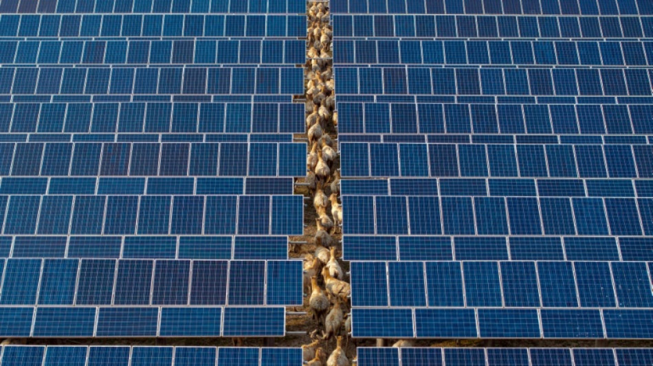 China first-quarter emissions fell despite rising power demand