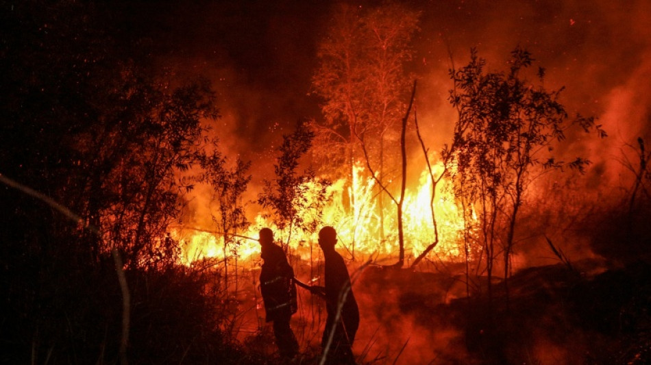  Des incendies font quatre morts en Indon&eacute;sie et asphyxient la r&eacute;gion 