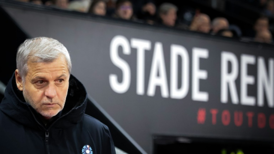 Coupe: &agrave; Rennes, le d&eacute;fi de la vie sans Terrier