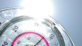 Changement climatique: une dizaine d'indicateurs dans le rouge, alertent des scientifiques de référence