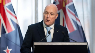 Nova Zel&acirc;ndia suspende doa&ccedil;&otilde;es &agrave; UNRWA