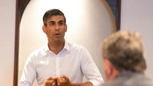 Varones, mayores y blancos: el perfil de los conservadores que elegir&aacute;n al primer ministro brit&aacute;nico