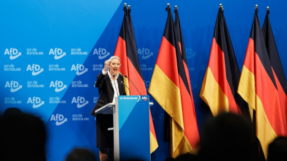 Th&uuml;ringer Verfassungsschutzchef Kramer kritisiert Verschiebung von AfD-Einstufung