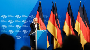 Th&uuml;ringer Verfassungsschutzchef Kramer kritisiert Verschiebung von AfD-Einstufung