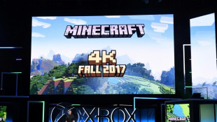 Le candidat Macron s'invite dans le jeu vid&eacute;o... Minecraft