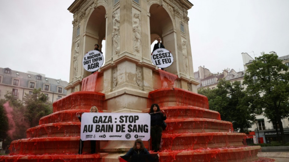 Hilfsorganisationen prangern in Paris "Völkermord" im Gazastreifen an