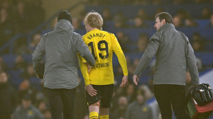 Muskelfaserriss: BVB bis zur L&auml;nderspielpause ohne Brandt