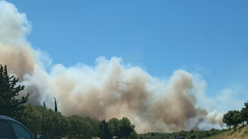  Un incendie parcourt 540 hectares dans le Gard, l'A9 partiellement ferm&eacute;e 