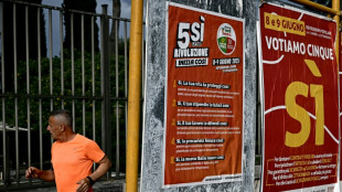 Refer&eacute;ndum en Italia sobre naturalizaci&oacute;n y derechos laborales