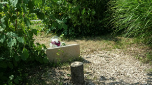 Gedenkbaum f&uuml;r ermordeten Juden in Frankreich abges&auml;gt