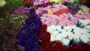 Umfrage: Weniger Deutsche wollen Geld f&uuml;r Muttertagsgeschenke ausgeben