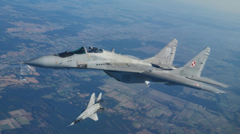 Polen beantragt bei Deutschland Ausfuhrgenehmigung f&uuml;r Mig-29-Kampfjets