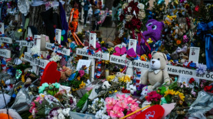 Mince espoir d'un accord au Congr&egrave;s am&eacute;ricain sur un encadrement limit&eacute; des armes