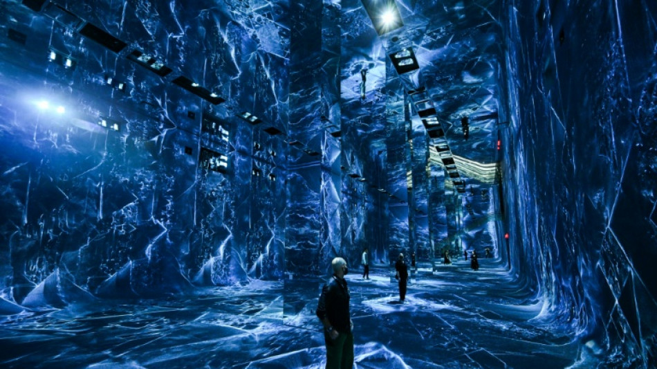  AI museum brings sights, sounds and smells of the rainforest 