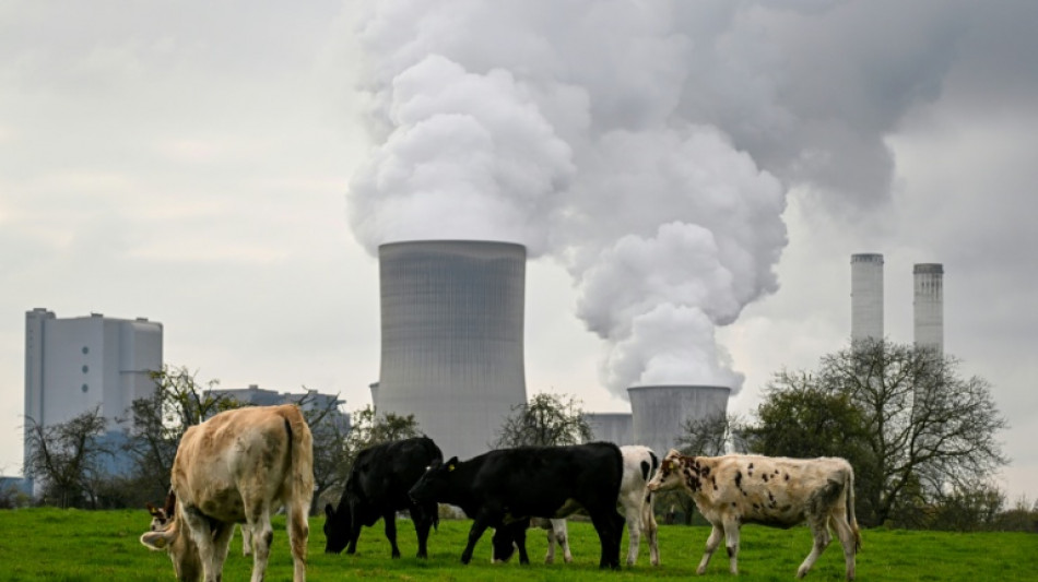 Organisationen fordern mehr Anstrengungen bei Klimaschutz zu Start von UN-Konferenz in Bonn