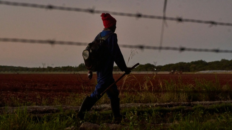  Zimbabue restituir&aacute; tierras confiscadas por Mugabe a inversores extranjeros 