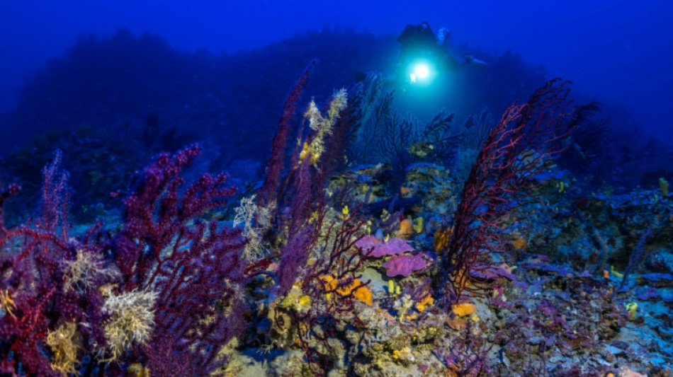 Grecia prohíbe la pesca de arrastre en un archipiélago rico en corales
